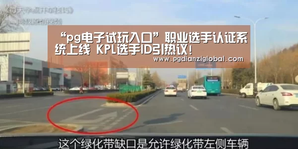 pg电子试玩入口官网