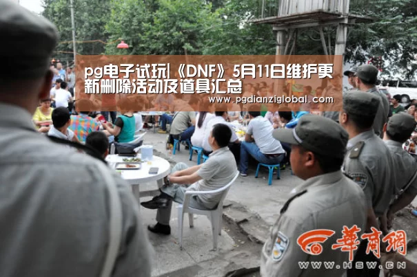 pg电子试玩入口官网